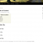 Table of Content