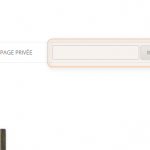 Search Box on Navigation Menu