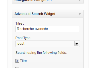 Advanced Search Widget