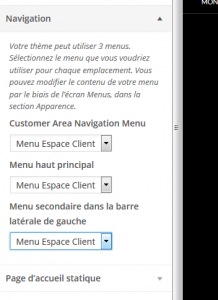 custom-client-area-06