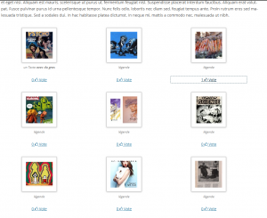 gallery-voting-visuel