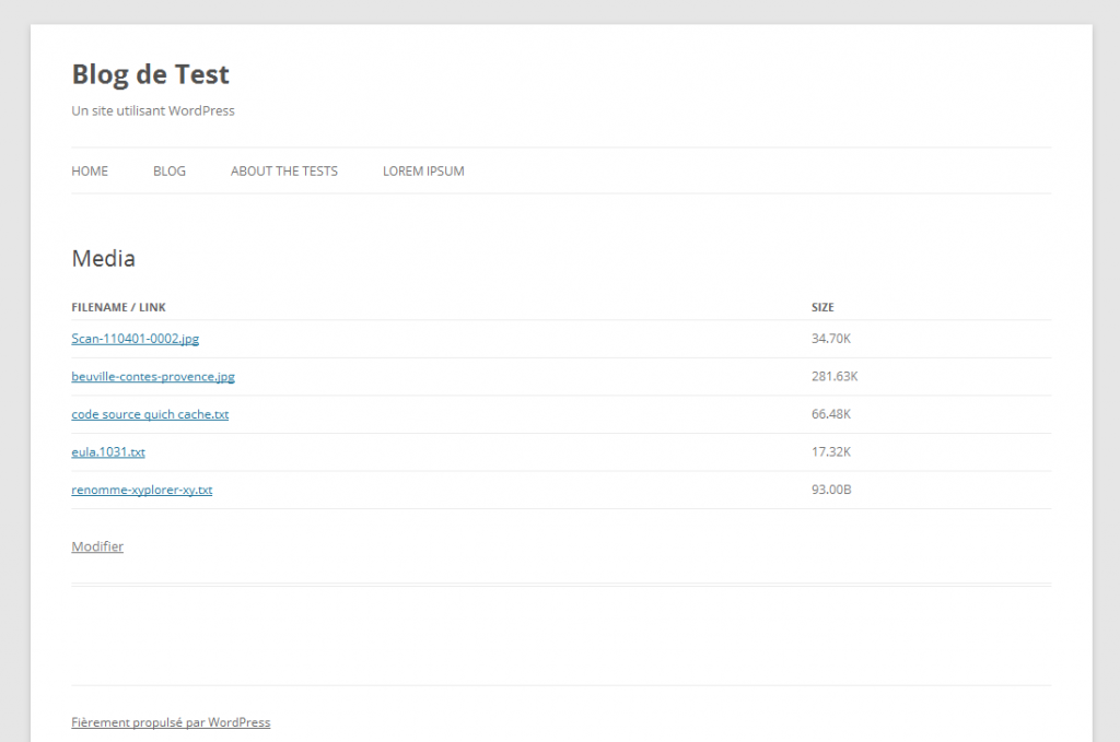 Mmm File MMM File List – L'Écho des Plugins WP