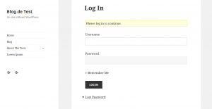 theme-my-login-page-login