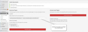 deactivate-plugins-options
