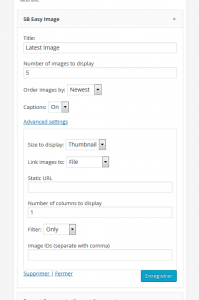 easy-image-display-widget