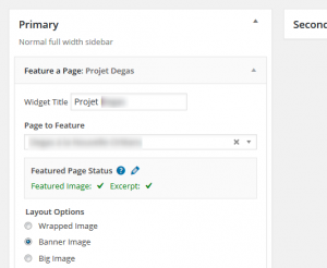 featured-page-widget-options