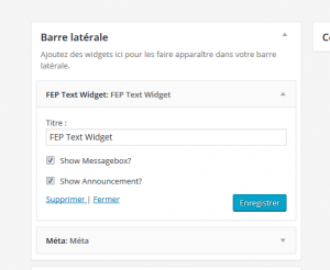 front-end-pm-widget-options