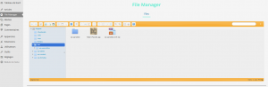 file-manager