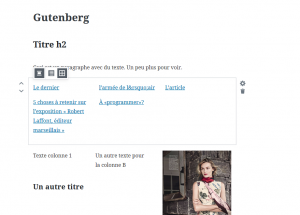 gutenberg-widget