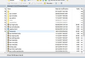 fichiers-wordpress