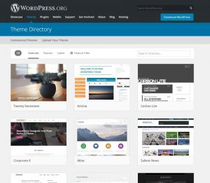 themes-wordpress