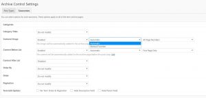 archive-custom-optiions
