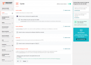 wp-rocket-options