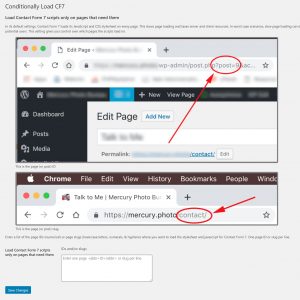 load-conditionally-cf7