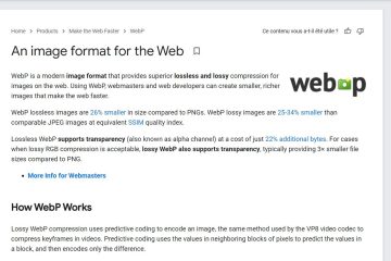 WebP activé par défaut dans WP 6.1