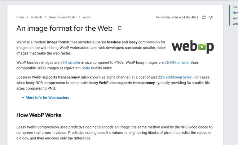 disable webp